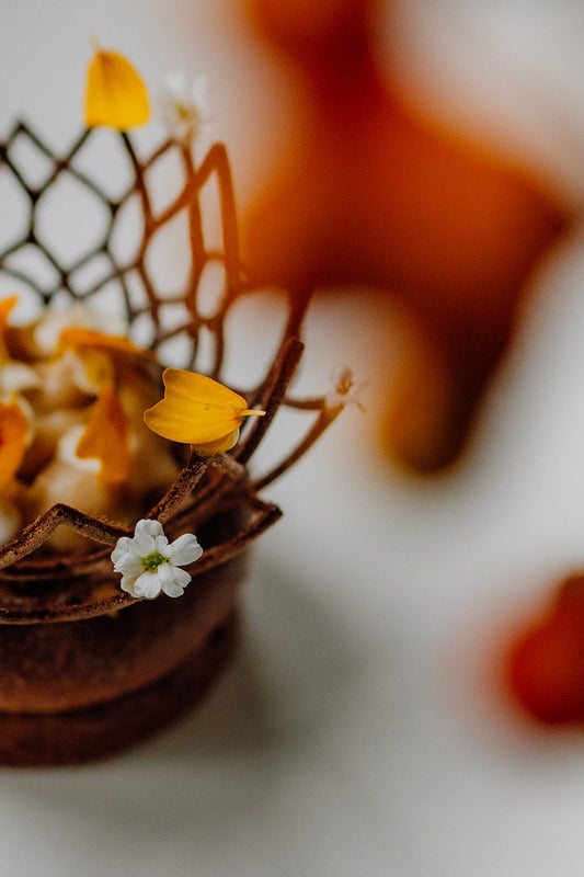 Restaurant STEEF — 5 course dinner