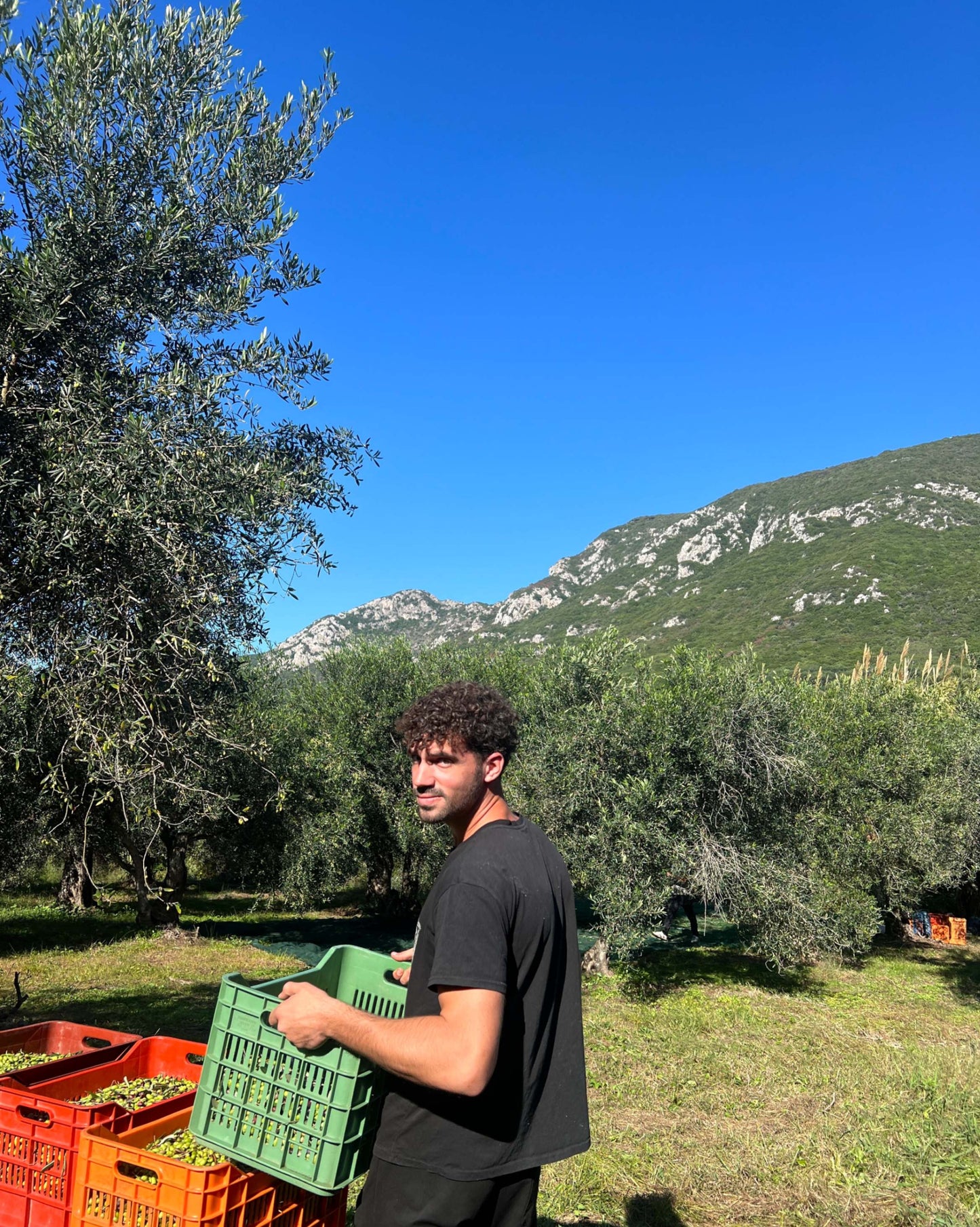 Dionissis Andriotis