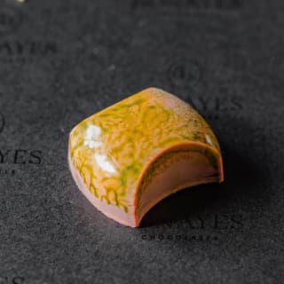 The Collection Box 16