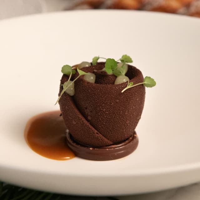 Chocolade roos