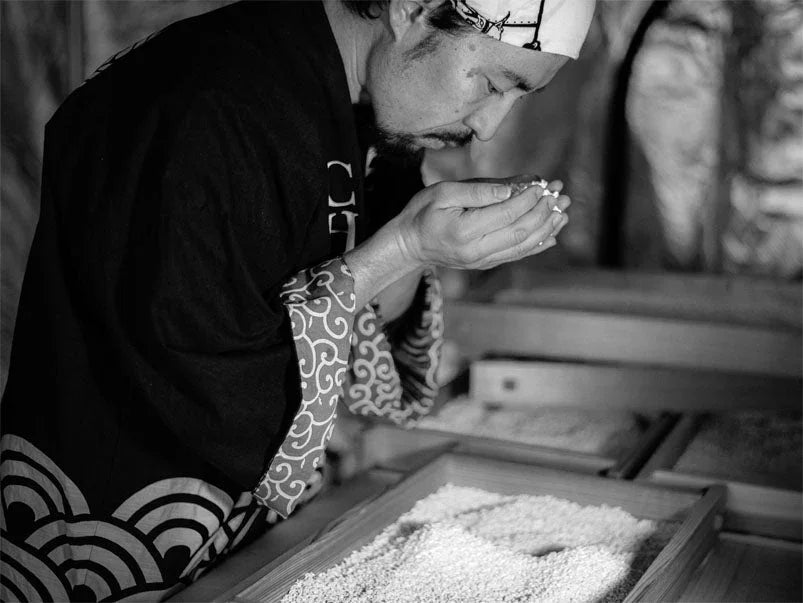 Choro Koji Fermentation