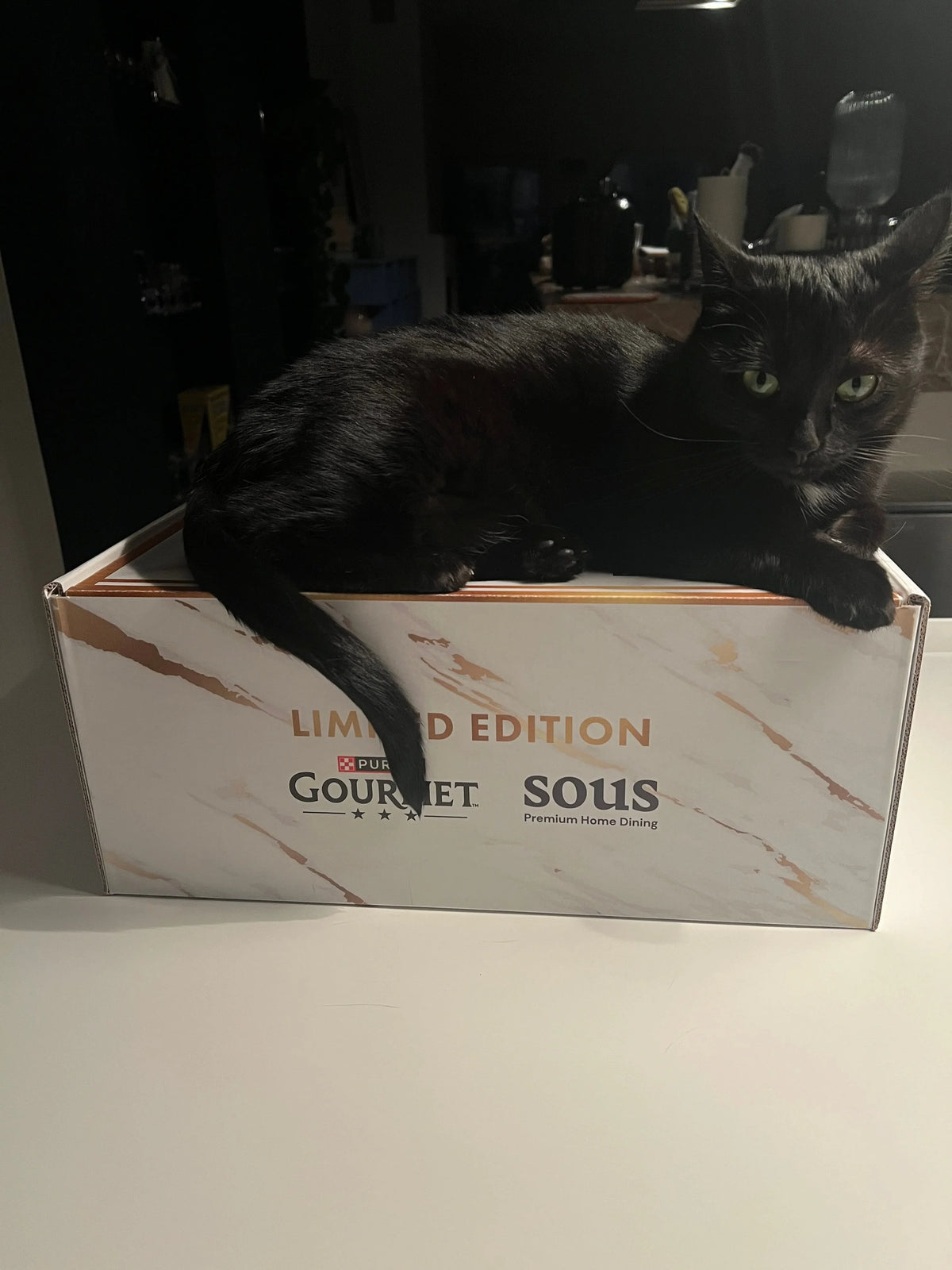 Purina Gourmet