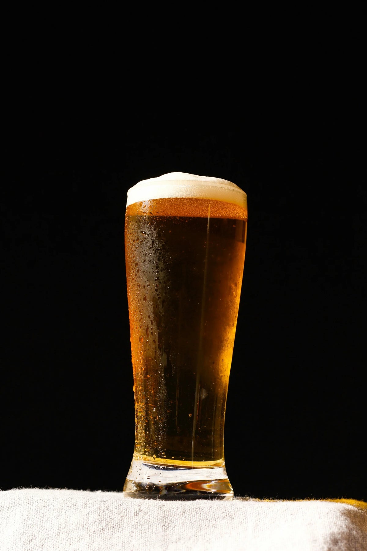 Bier
