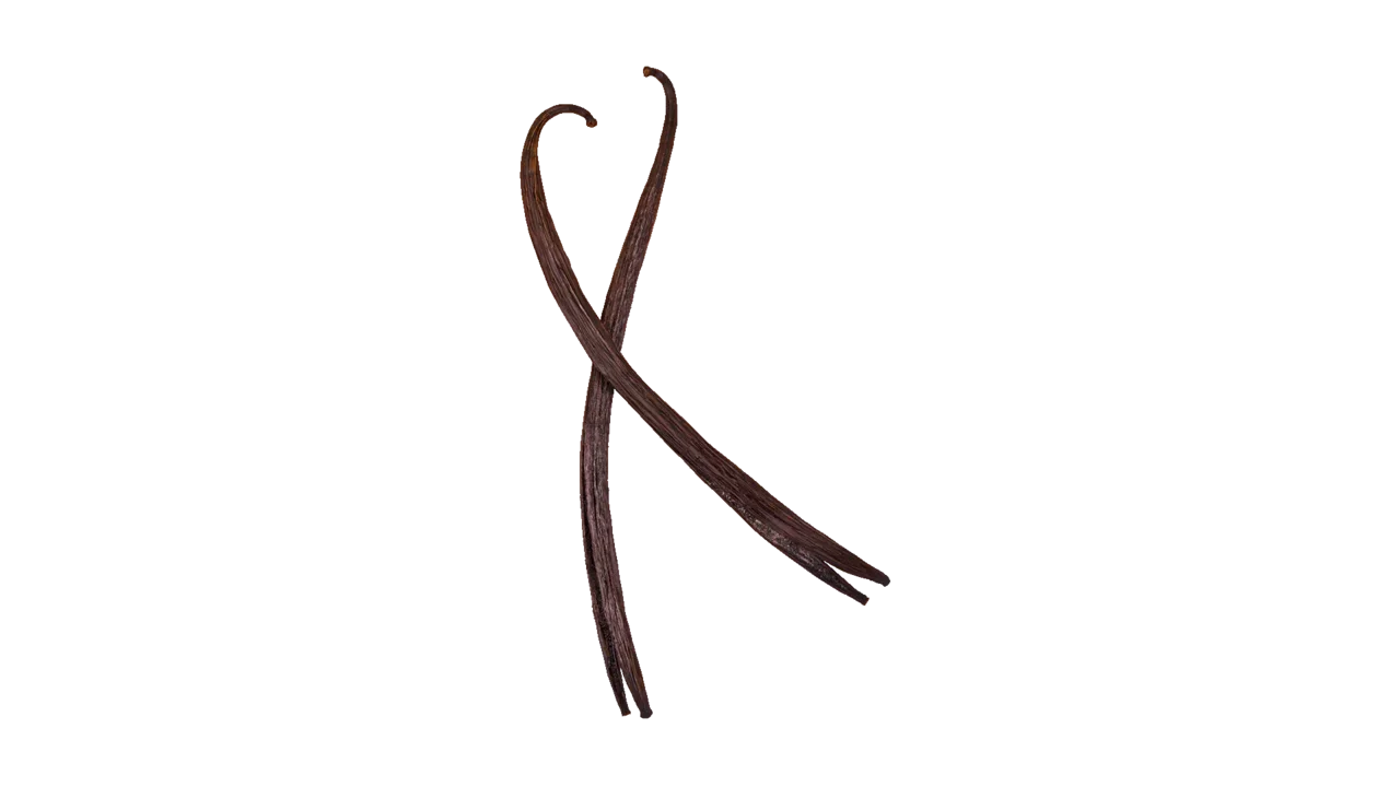 Dutch Vanilla (red) 