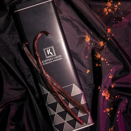 Dutch Vanilla (black) 