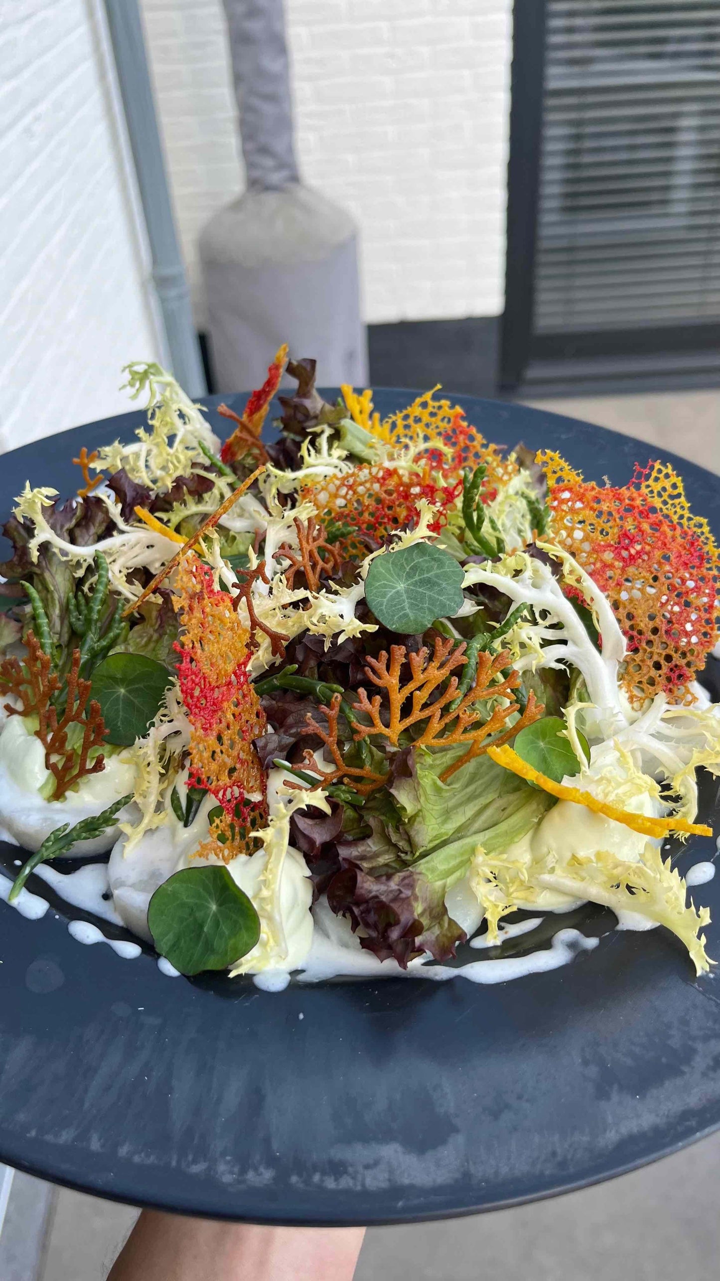 Chef Bart— Walking Diner