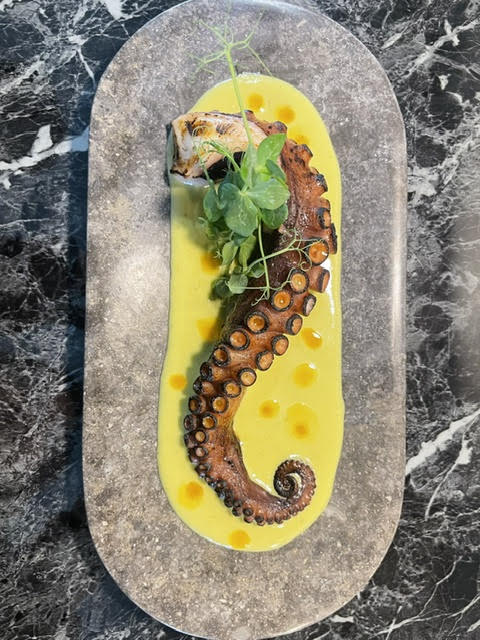 Chef Barbolina — Fusion menu