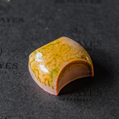 The Collection Box 16