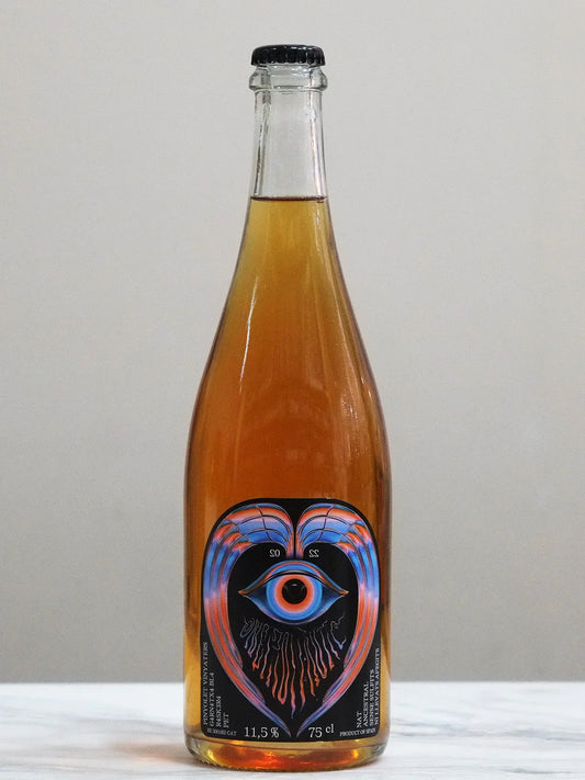 Pinyolet Vinyaters - Pet Nat Ancestral Blanca 2022 - CHENIN CHENIN